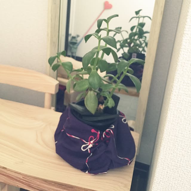 kusu410さんの実例写真