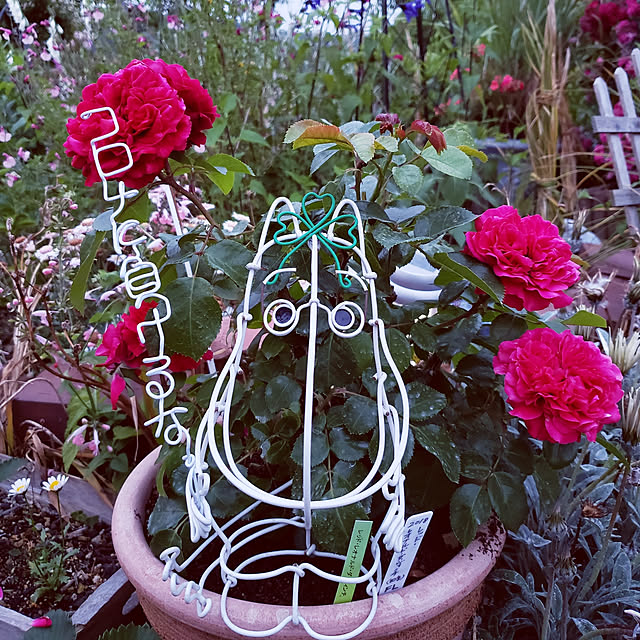 J.BOYさんの実例写真