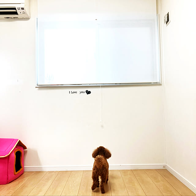 MOMOMAMAさんの実例写真