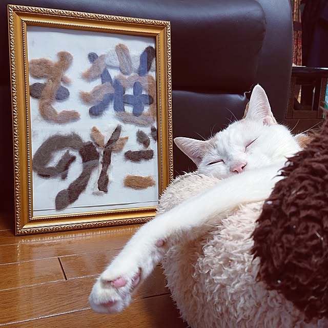 NOAHさんの実例写真