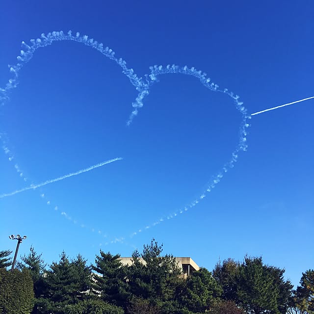 壁/天井/飛行機/インテリアではありませんが…/ナチュラルのインテリア実例 - 2015-11-03 14:08:00