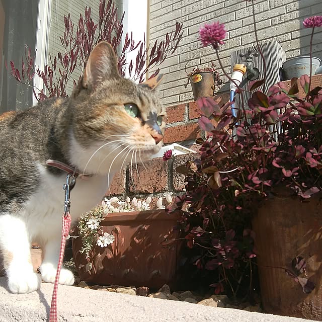 tomo1220さんの実例写真