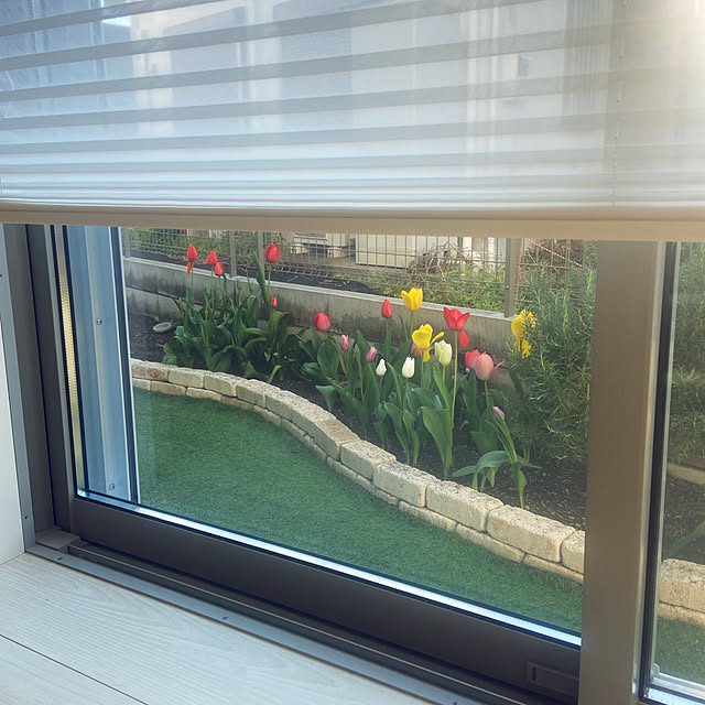 Haruさんの実例写真