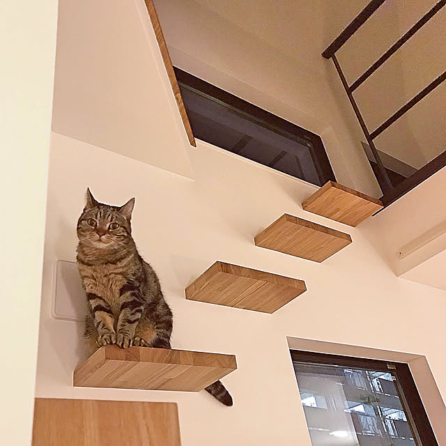 kaedeさんの実例写真