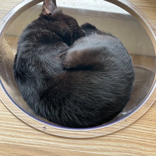 naspressoさんの実例写真