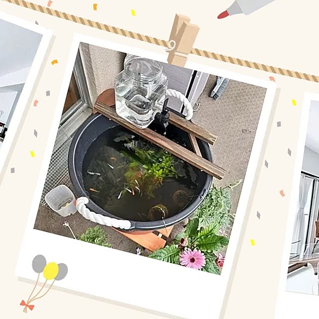 mi-saさんの部屋