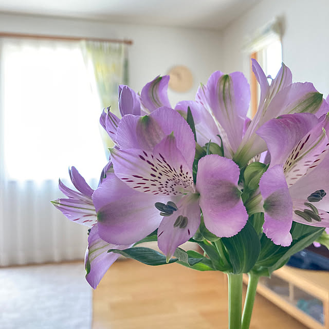 bestwishes.ryokoさんの実例写真