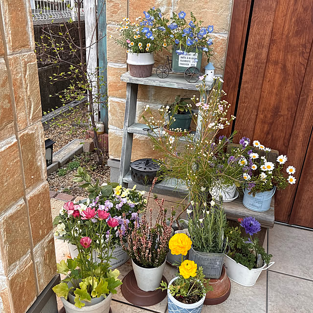 ayayayayaさんの部屋