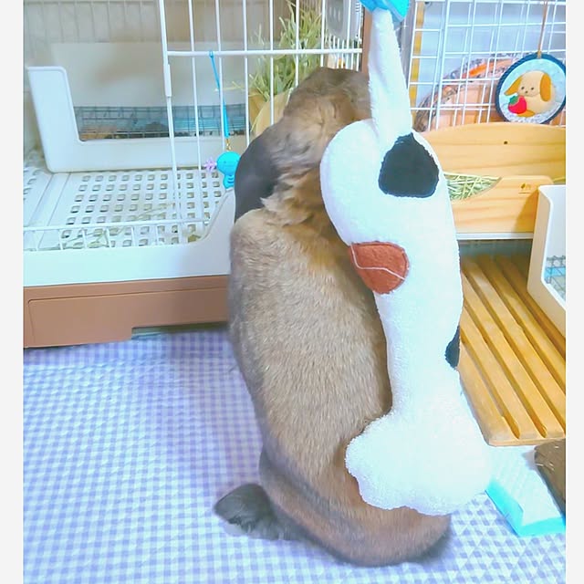 mariaさんの部屋