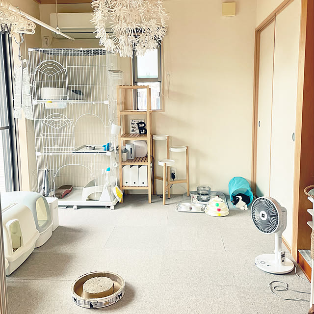 IKEA/シンプル/ねこ部/ねこのいる日常/猫と暮らす...などのインテリア実例 - 2021-09-12 05:17:09