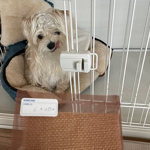 seiさんの実例写真