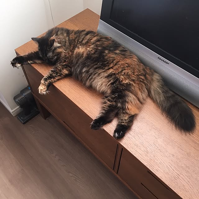 mikomaruさんの実例写真