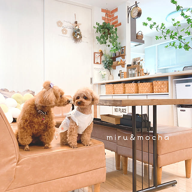 e.and.m.mamaさんの実例写真