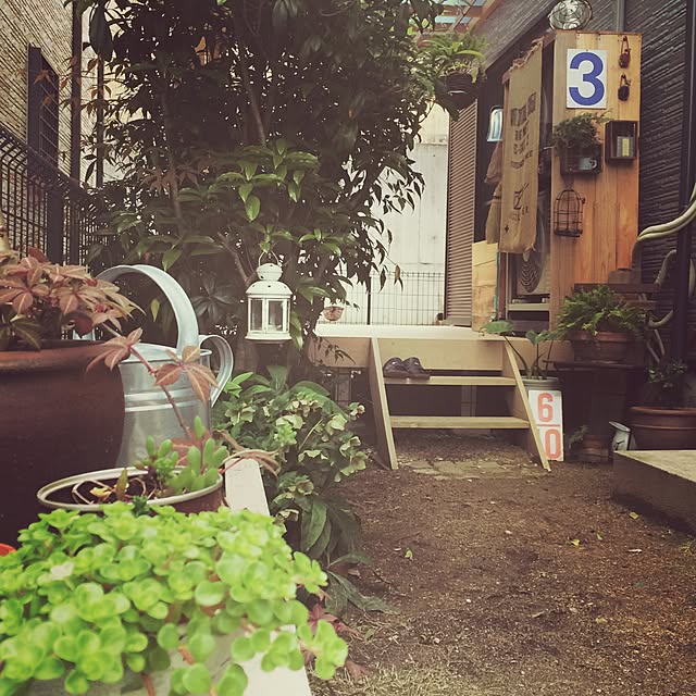 akiさんの実例写真