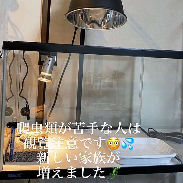 KotarouKunさんの実例写真