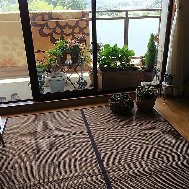 実例写真