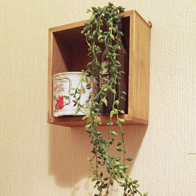 lunaさんの実例写真