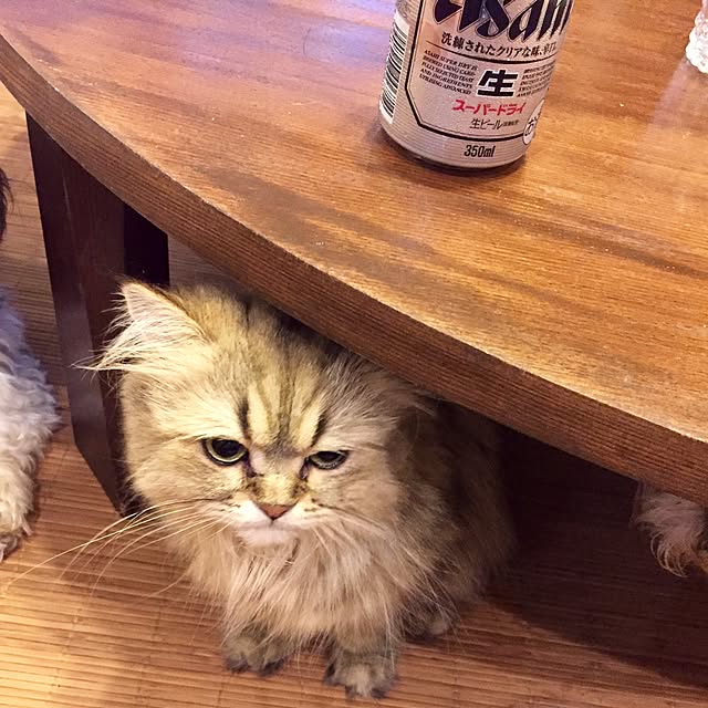 butachanさんの実例写真