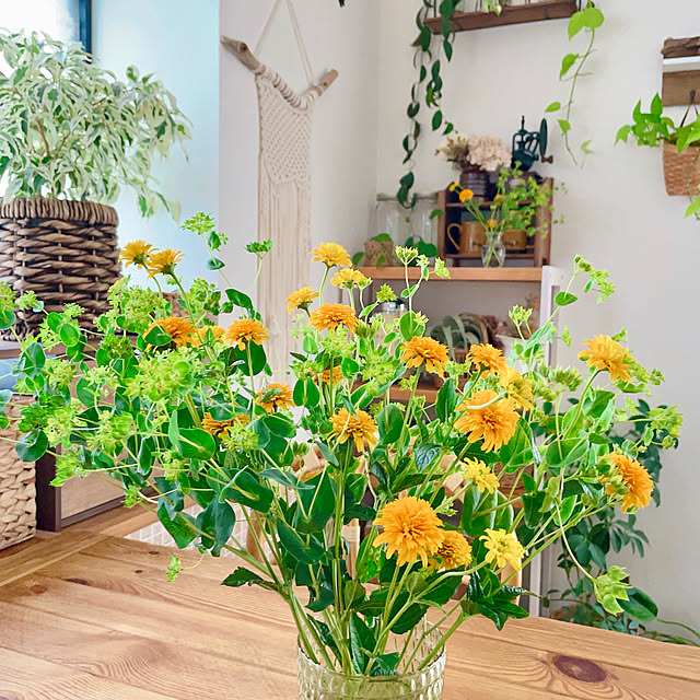 mugijunさんの部屋