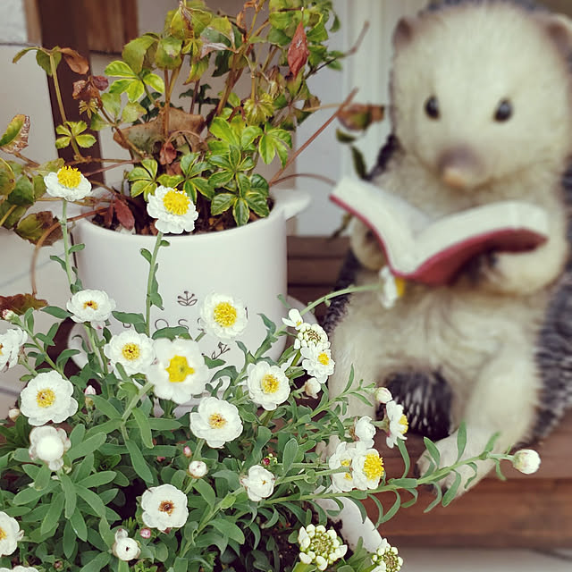 rinnes2さんの実例写真