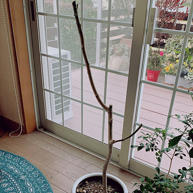 mama_sanさんの実例写真
