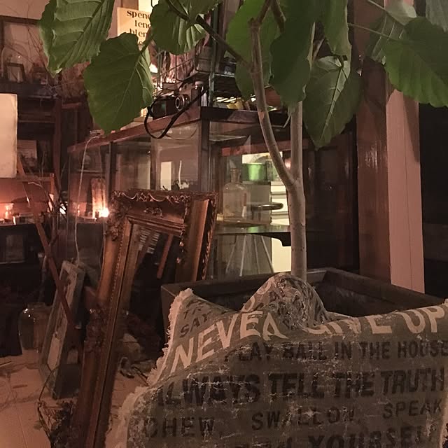 ot_aka1964さんの実例写真