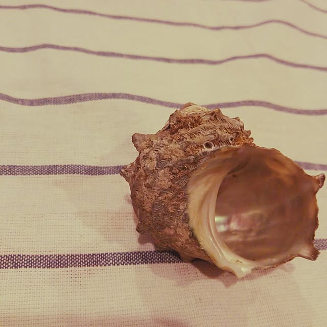 yun0603さんの実例写真