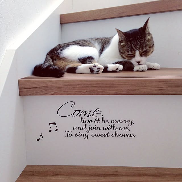 Chiiさんの実例写真