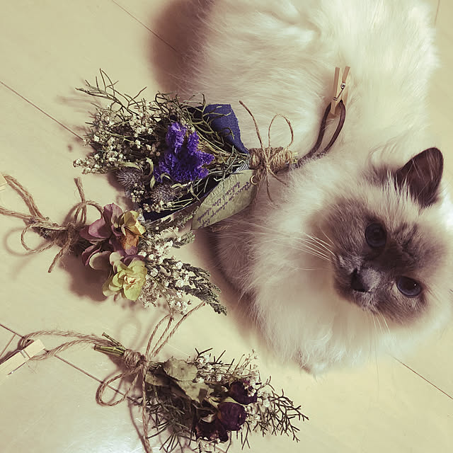 anneさんの実例写真
