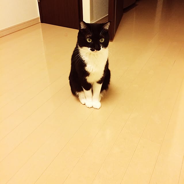 maimaimさんの実例写真