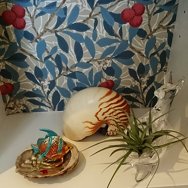 bonobono54さんの実例写真
