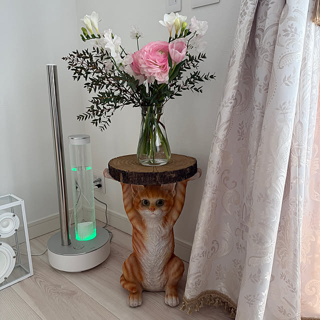 jucakikkaさんの実例写真