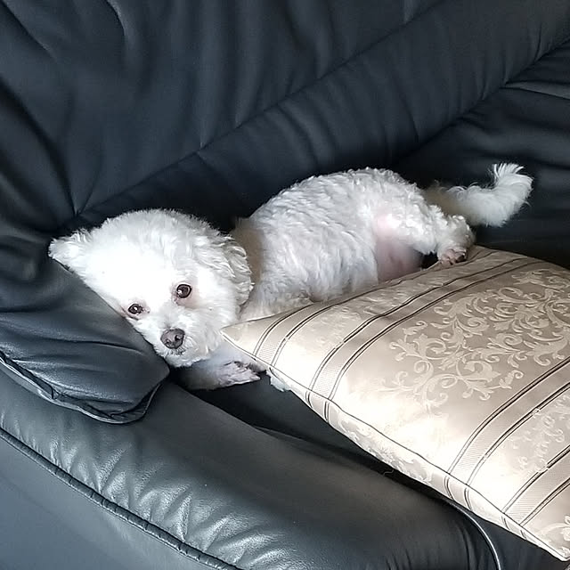 takoさんの実例写真