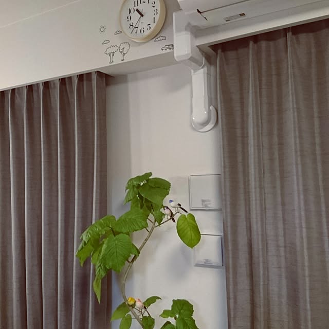 bbbbさんの実例写真