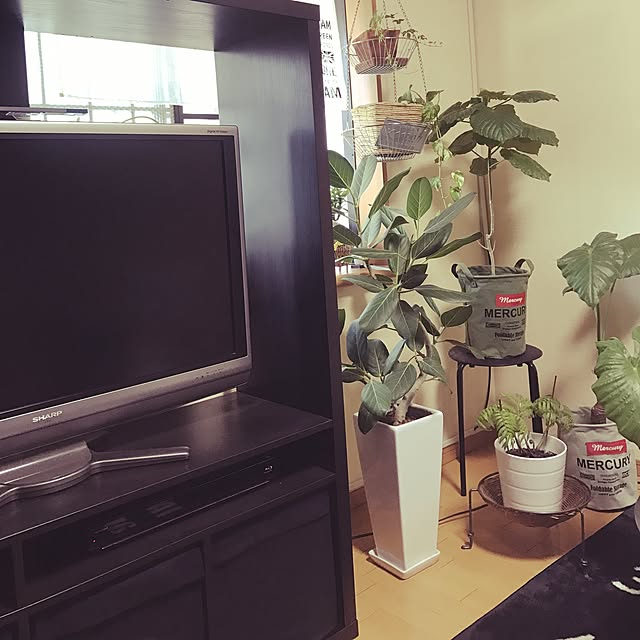 3434xxさんの実例写真