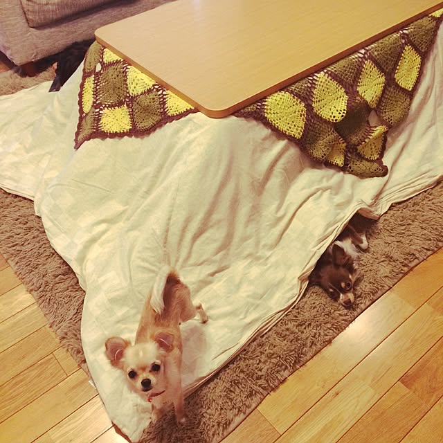 実例写真