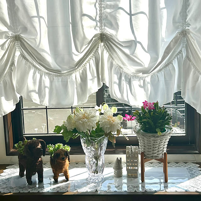 koha_hahahaさんの実例写真