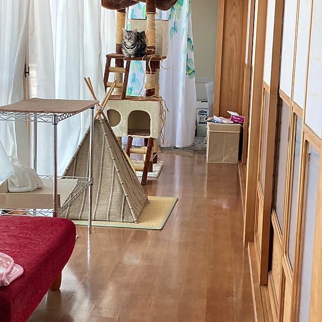zabonzabonさんの実例写真