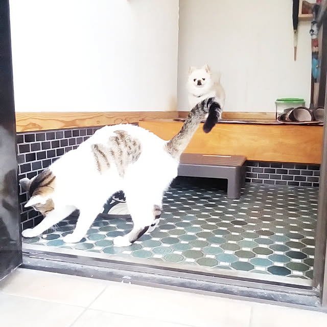 me_ta_815さんの実例写真