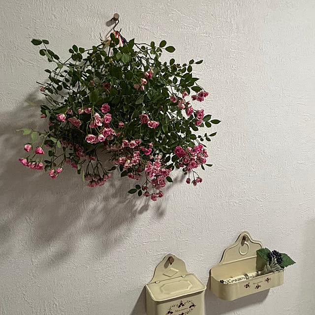 momocchiさんの部屋