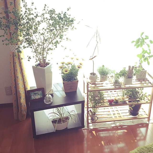 Meryさんの実例写真
