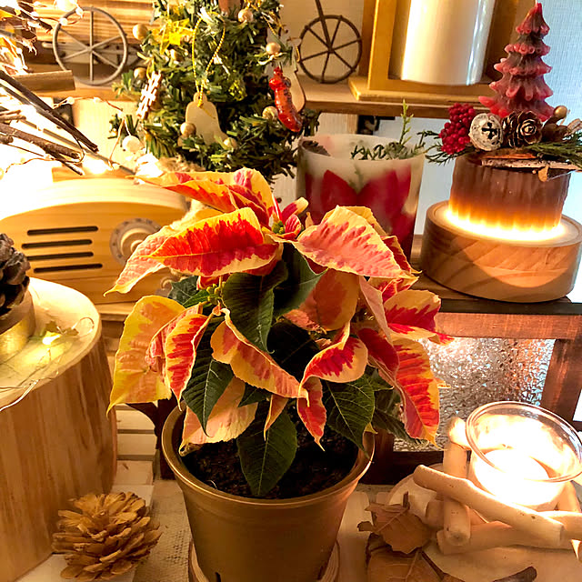 M_Mさんの実例写真