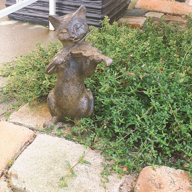 aiさんの実例写真