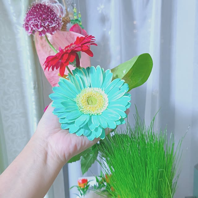 mariaさんの部屋