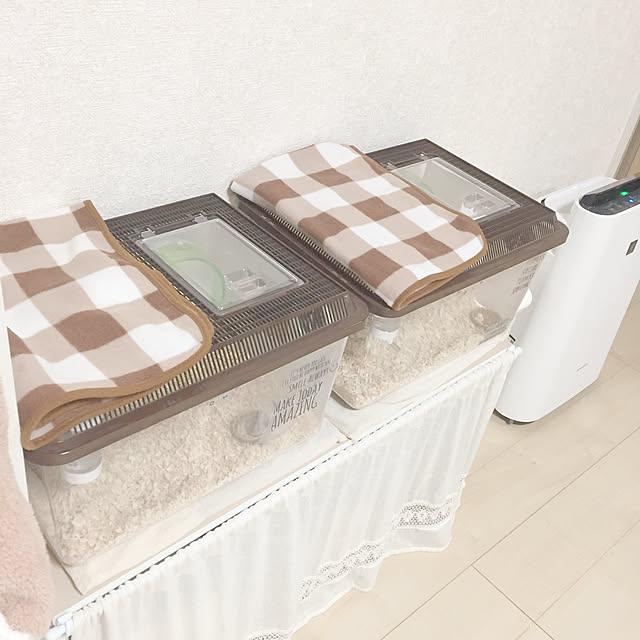 Minoriさんの実例写真