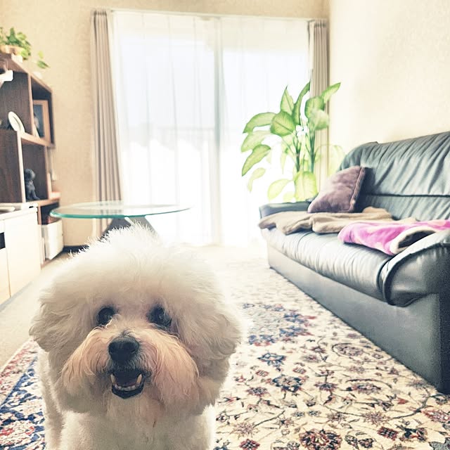 takoさんの実例写真