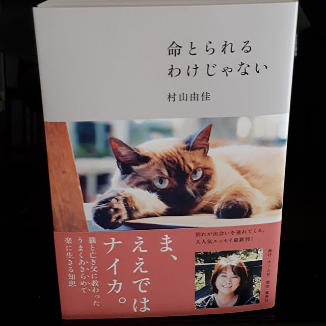 aiさんの実例写真