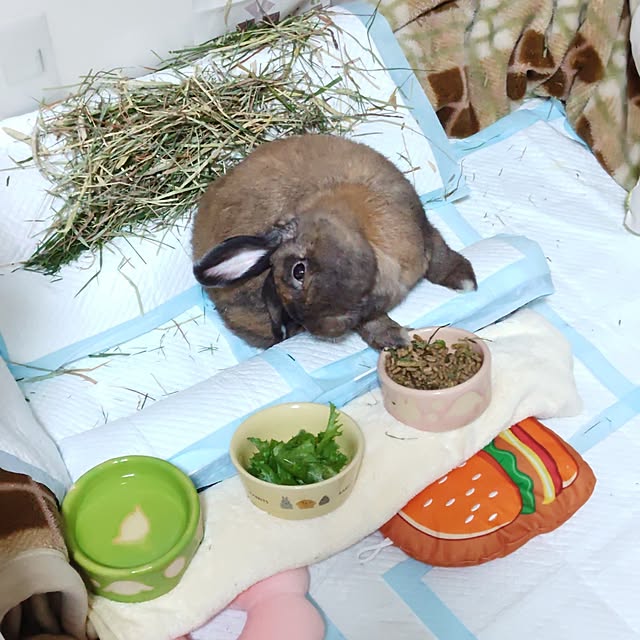 mariaさんの実例写真