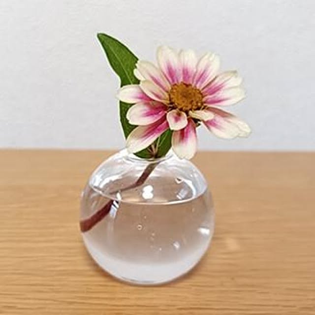 ohanaさんの実例写真