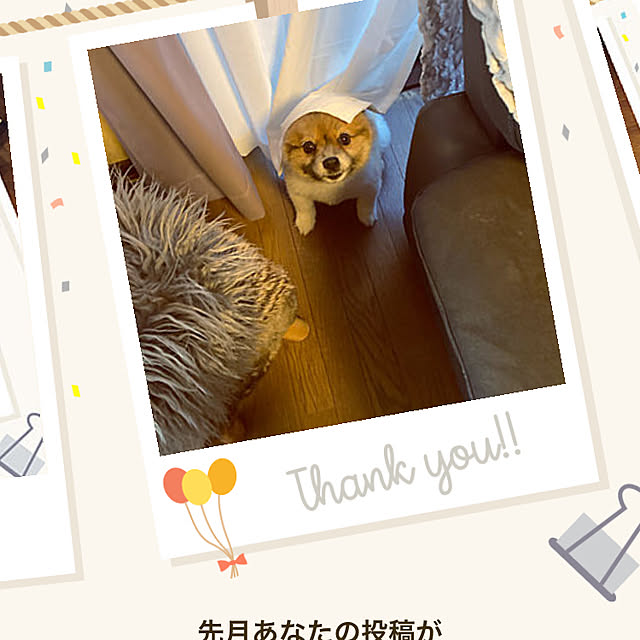 実例写真